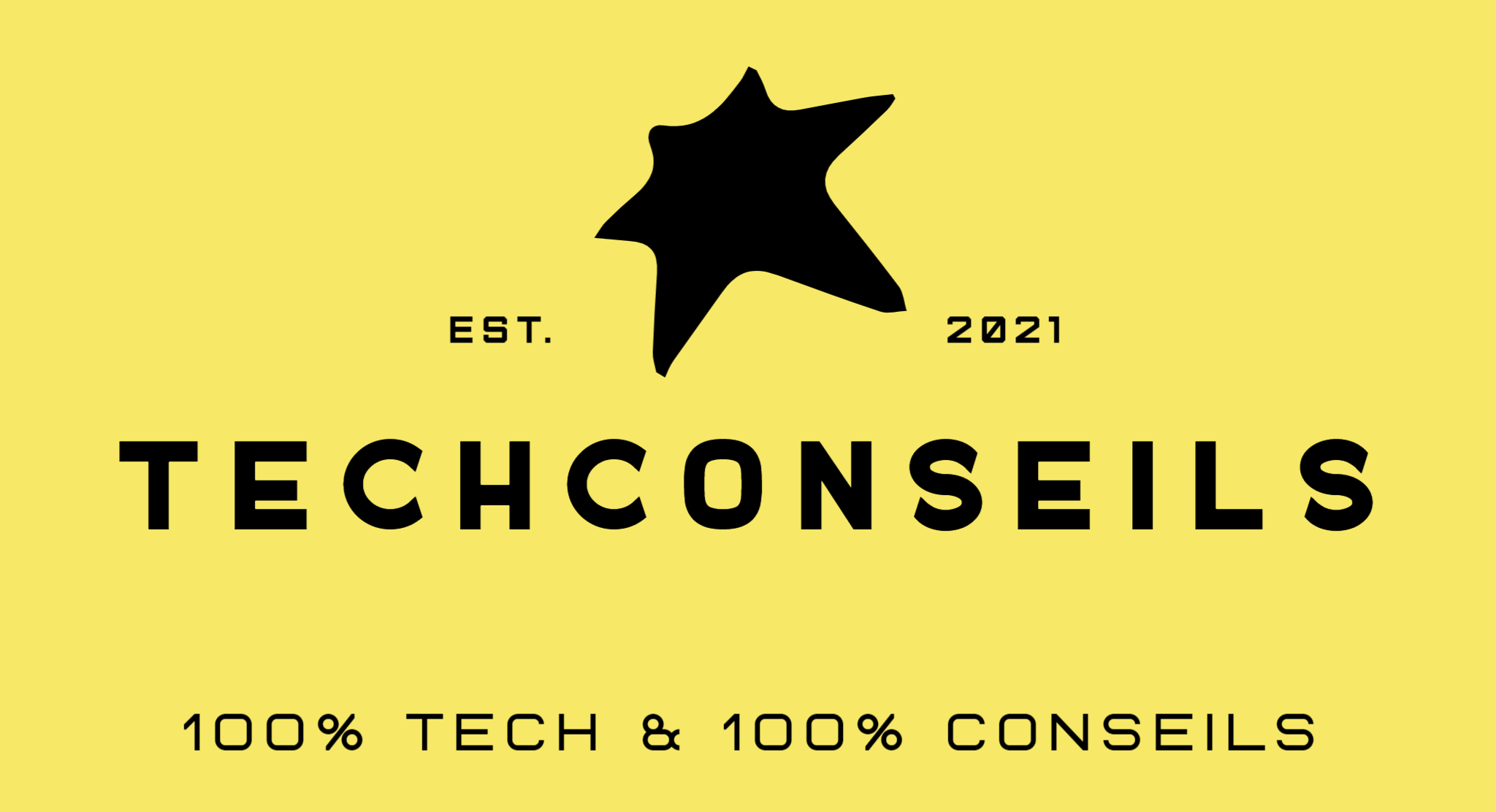 TechConseils